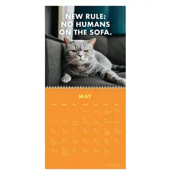 2024 Naštvaný-Off Mačky Kalendár Vtipné Mačku Nástenný Kalendár Mačky Nástenný Kalendár 2024 Tvorivý Kalendár Mačka Stolový Kalendár